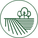 Campo